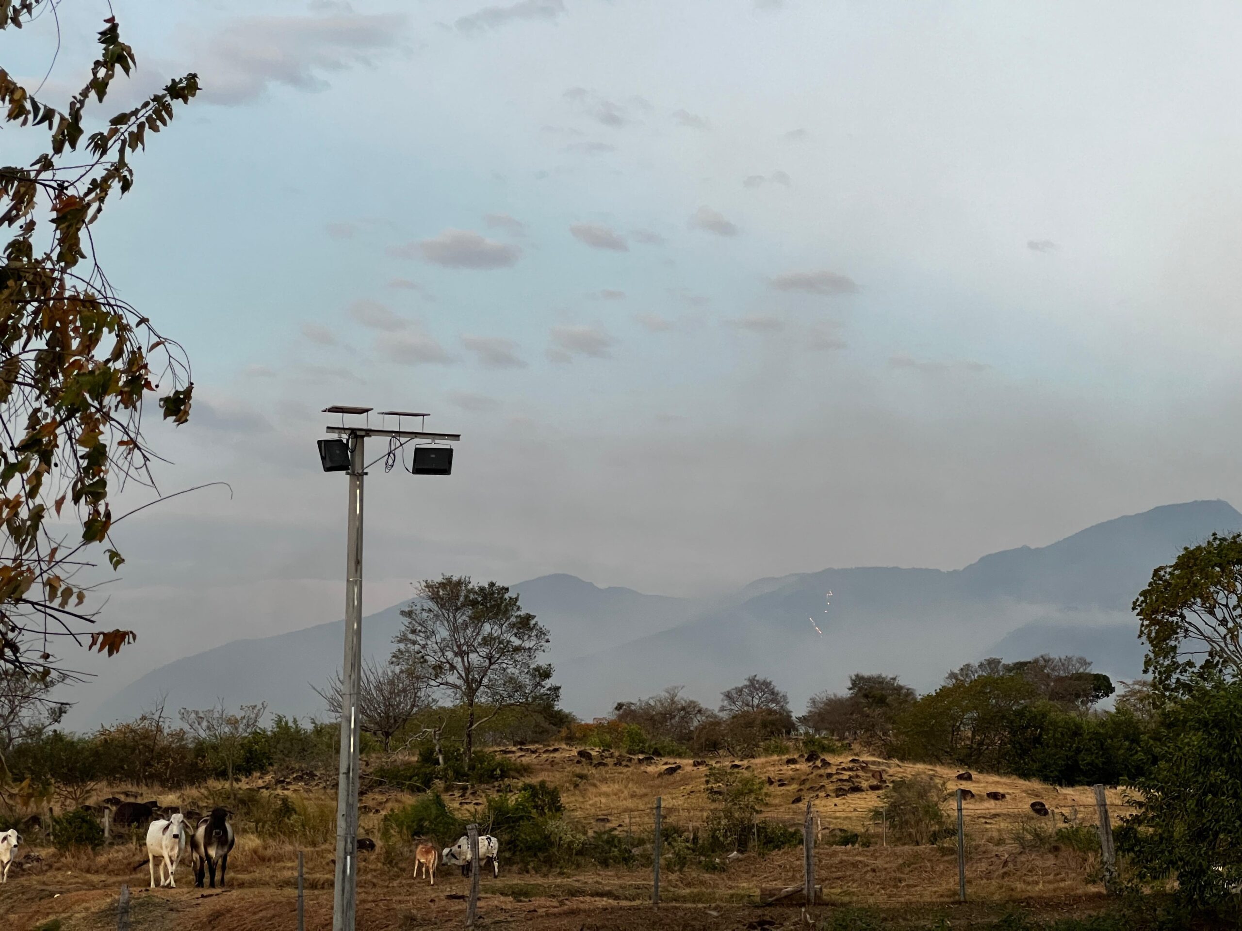 "Incendio en Natagaima fue liquidado tras 19 días de intenso trabajo": Secretaría de Ambiente 4