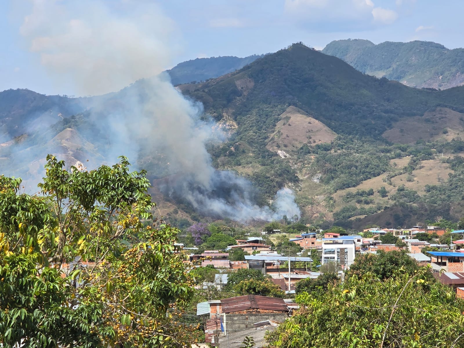 Planadas, entre los 6 municipios más afectados por incendios forestales en el Tolima  1