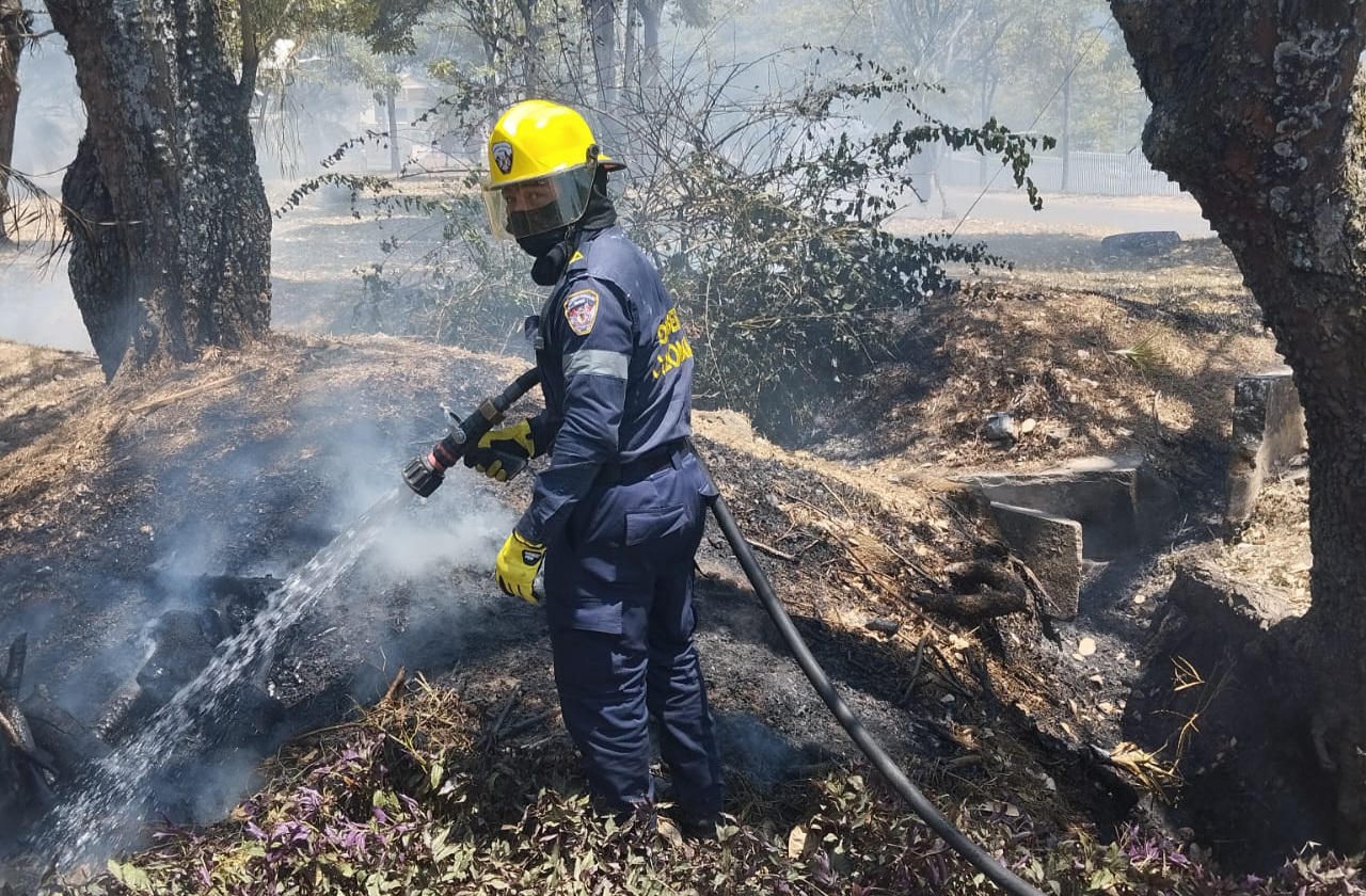 Cuerpo Oficial de Bomberos ha atendido casi 500 incendios forestales durante este año en Ibagué 1