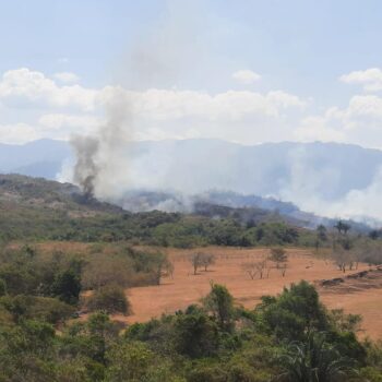 Tolima coordinó esfuerzos con la UNGRD para enfrentar incendios en Purificación, Melgar, Icononzo y Ortega 2