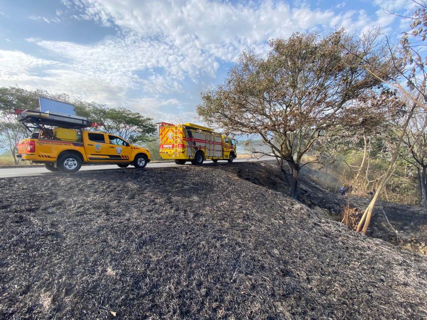 Quemas de basura son las causas de incendios forestales en Ibagué 1