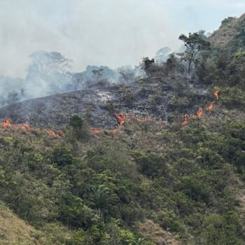 10 incendios forestales activos en el Tolima: El de Piedras completa 70 horas y ha afectado 200 hectáreas 2