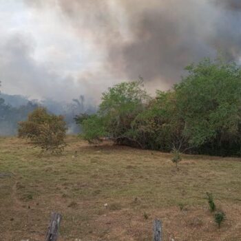 10 incendios forestales activos en el Tolima: El de Piedras completa 70 horas y ha afectado 200 hectáreas 3