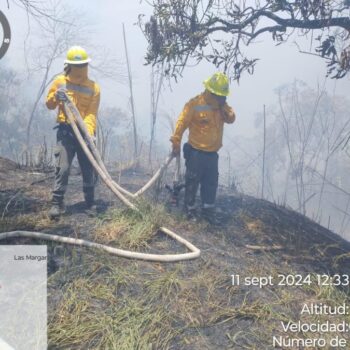 10 incendios forestales activos en el Tolima: El de Piedras completa 70 horas y ha afectado 200 hectáreas 4