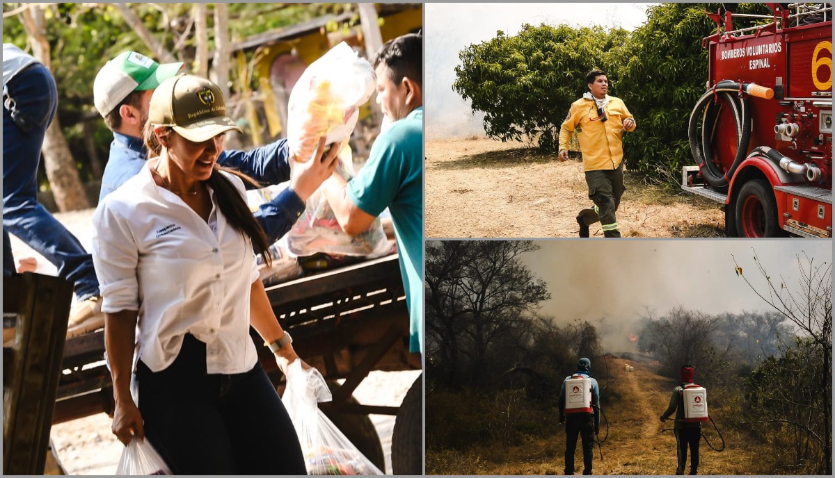 Gobernación refuerza estrategias ante incendios y escasez de agua en el Tolima 1