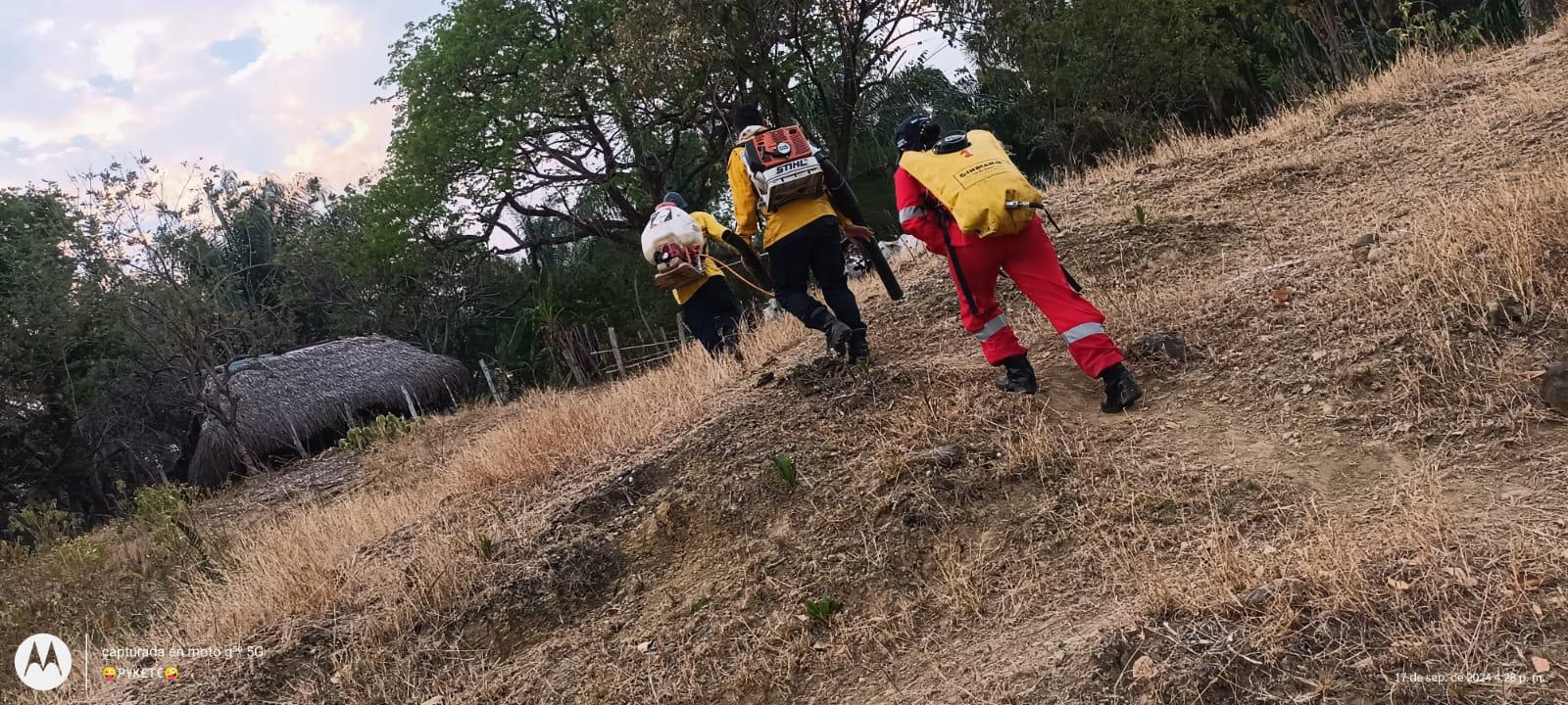 Un total de 13 municipios con incendios forestales activos en Tolima: sala de monitoreo 1