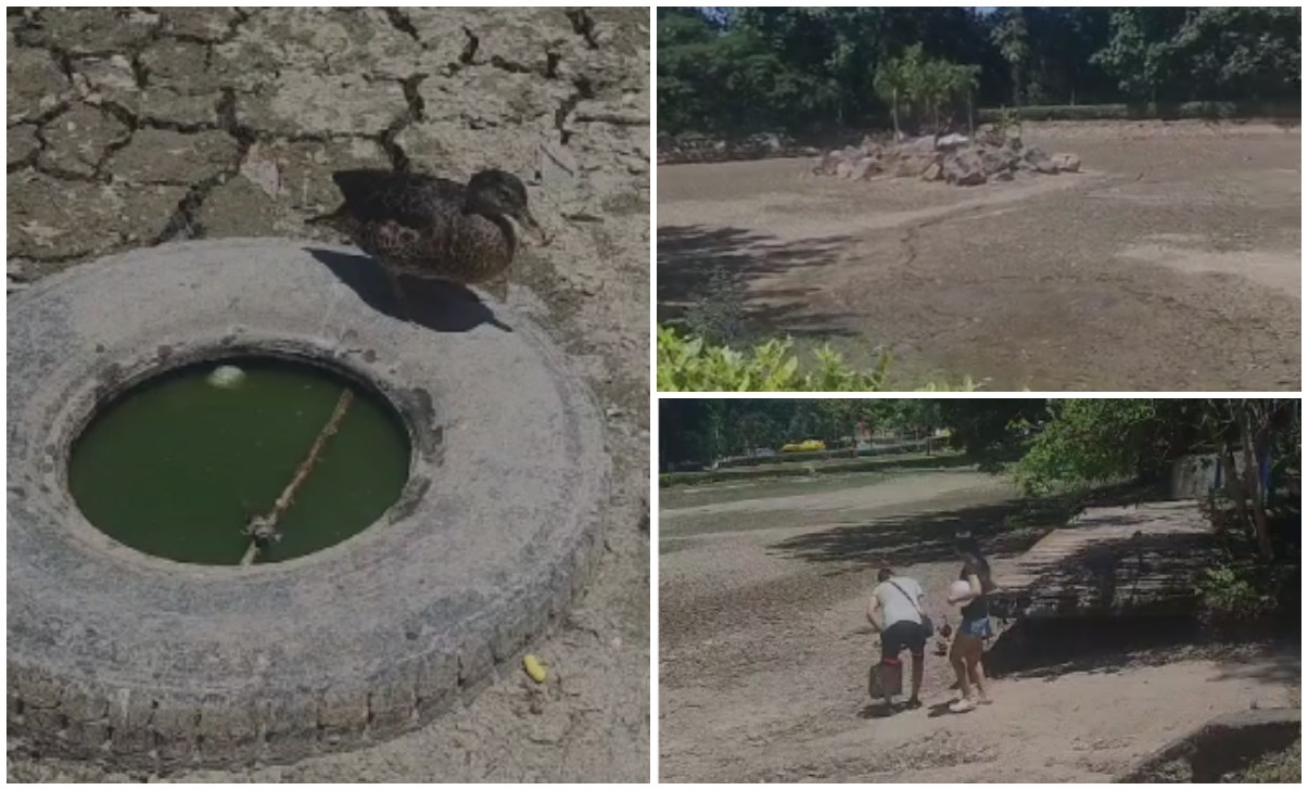 ¿Qué pasa con el lago de Comfatolima? Comunidad vecina está preocupada porque lo vaciaron 1
