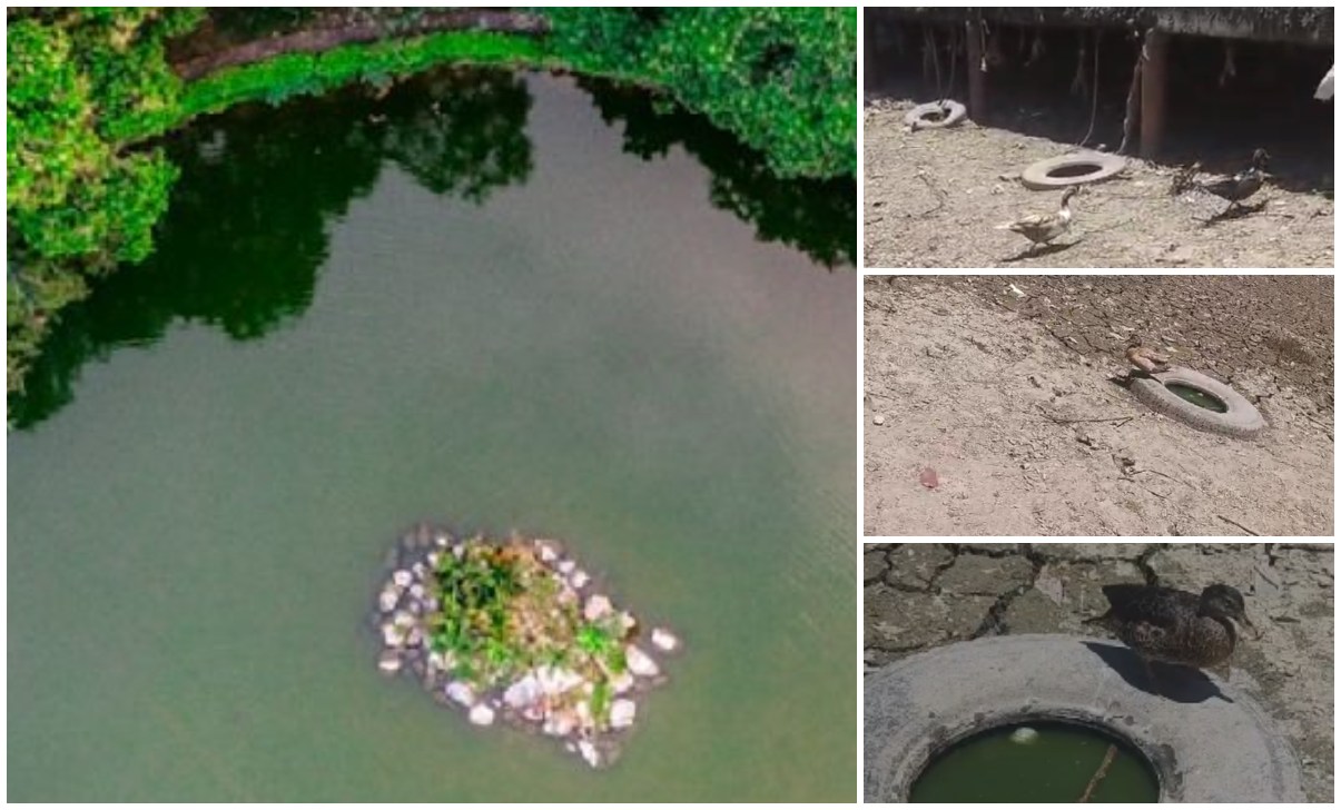 "Por acumulación de sedimentos", las razones de Comfatolima para vaciar el lago: mantenimiento culminará el próximo año 1