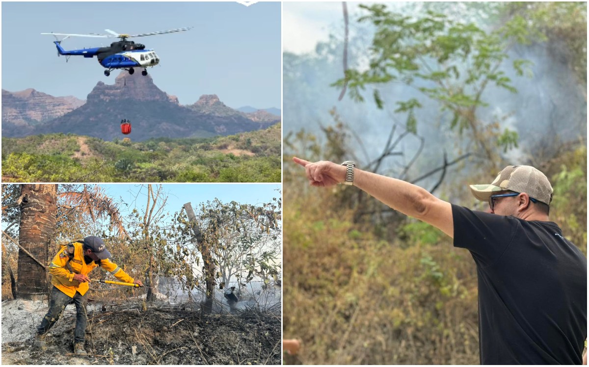 Alcalde de Ortega valoró el apoyo helicoportado para sofocar incendios que dejan 2.500 hectáreas arrasadas 1