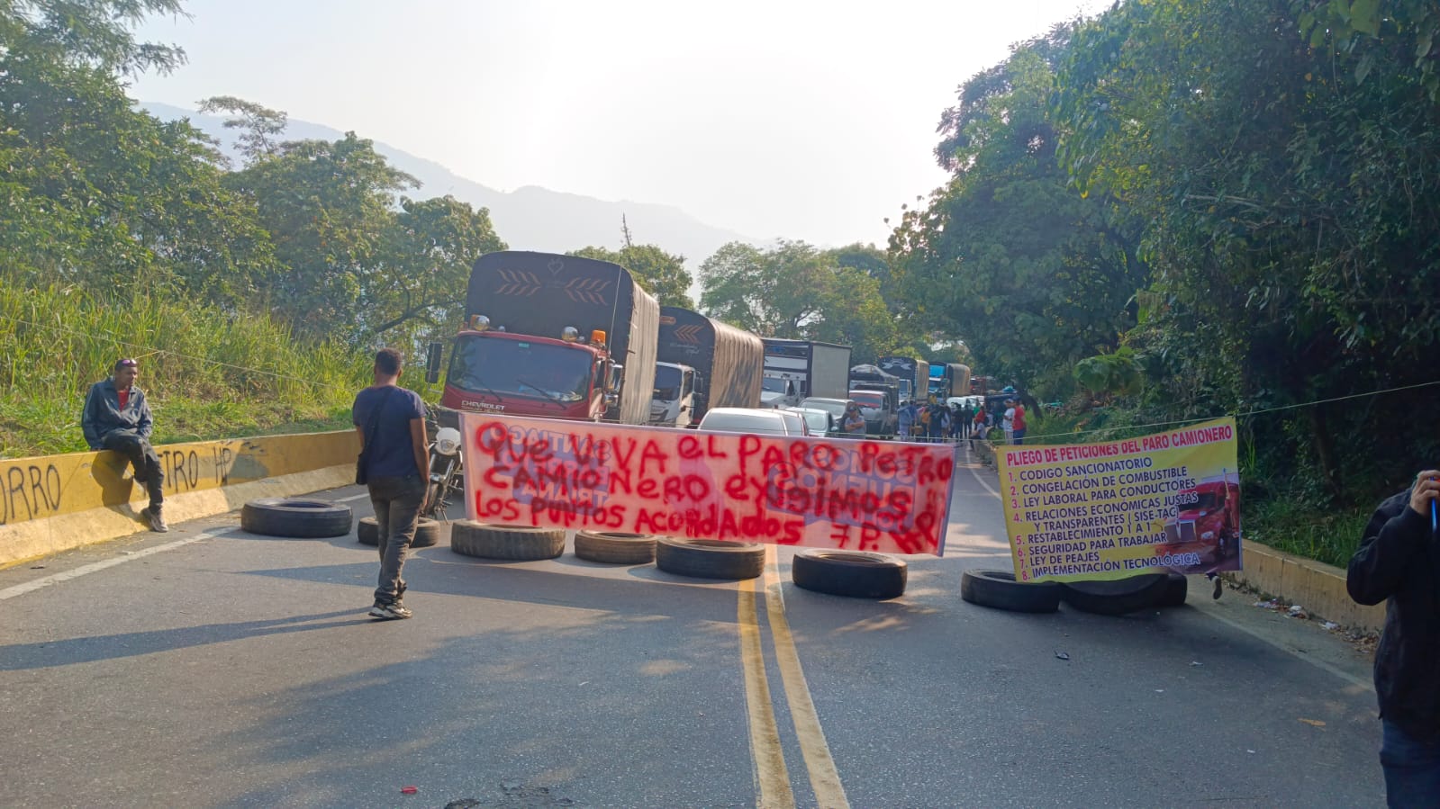 Estos son los 7 puntos de bloqueo en el Tolima 6