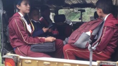 transporte