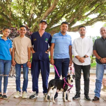 Trasladan a Ibagué a ‘Kira’, una mascota víctima de abuso en Planadas 4