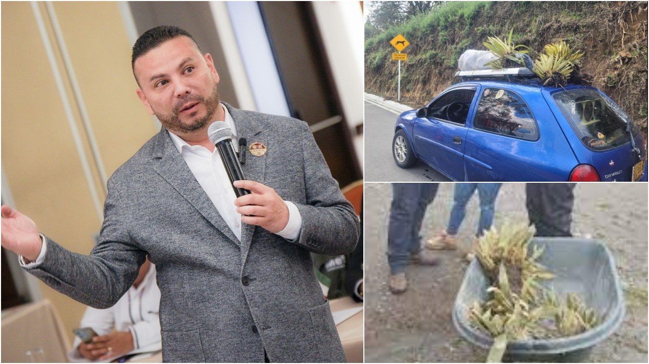 "Peaje ambiental también puede ser pedagógico": Secretario de Turismo llama a proteger Murillo 1