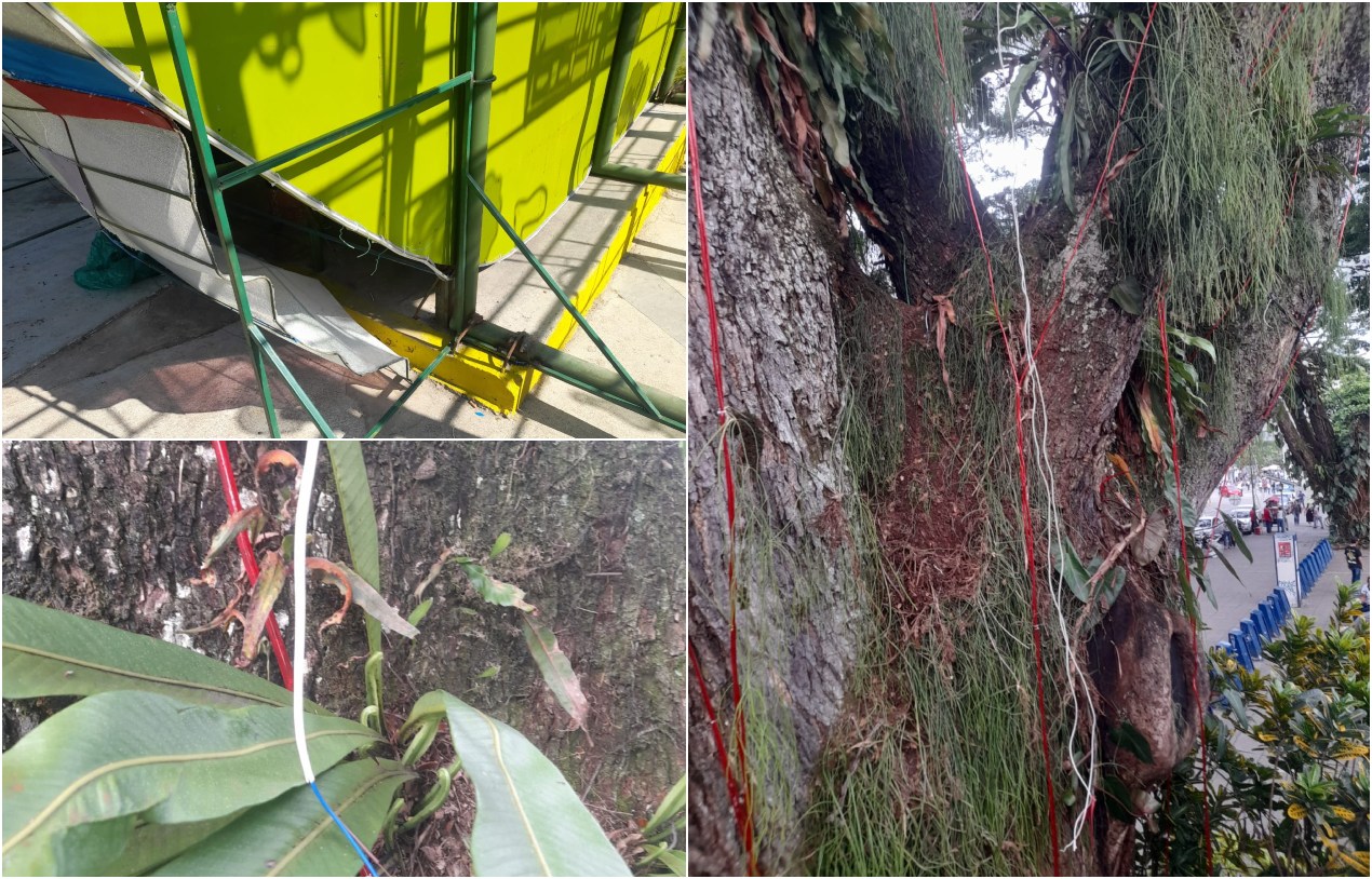 Vandalizaron y robaron partes de la instalación del alumbrado navideño 1