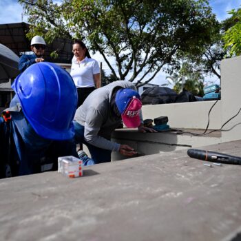 Mantenimiento y recuperación de los Árboles Solares de Ibagué avanza a buen ritmo 4