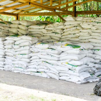 Más de 200 familias campesinas recibieron abono orgánico de Alcaldía para mejorar sus cultivos 2