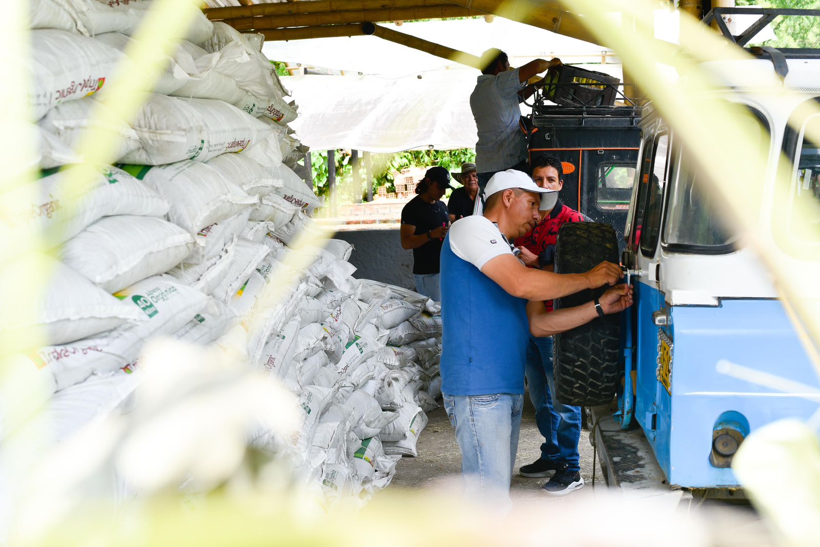 Más de 200 familias campesinas recibieron abono orgánico de Alcaldía para mejorar sus cultivos 1