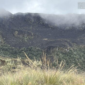 Controlado incendio en Parque de los Nevados por rápida respuesta de bomberos de Tolima y Caldas 4