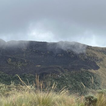 Controlado incendio en Parque de los Nevados por rápida respuesta de bomberos de Tolima y Caldas 2