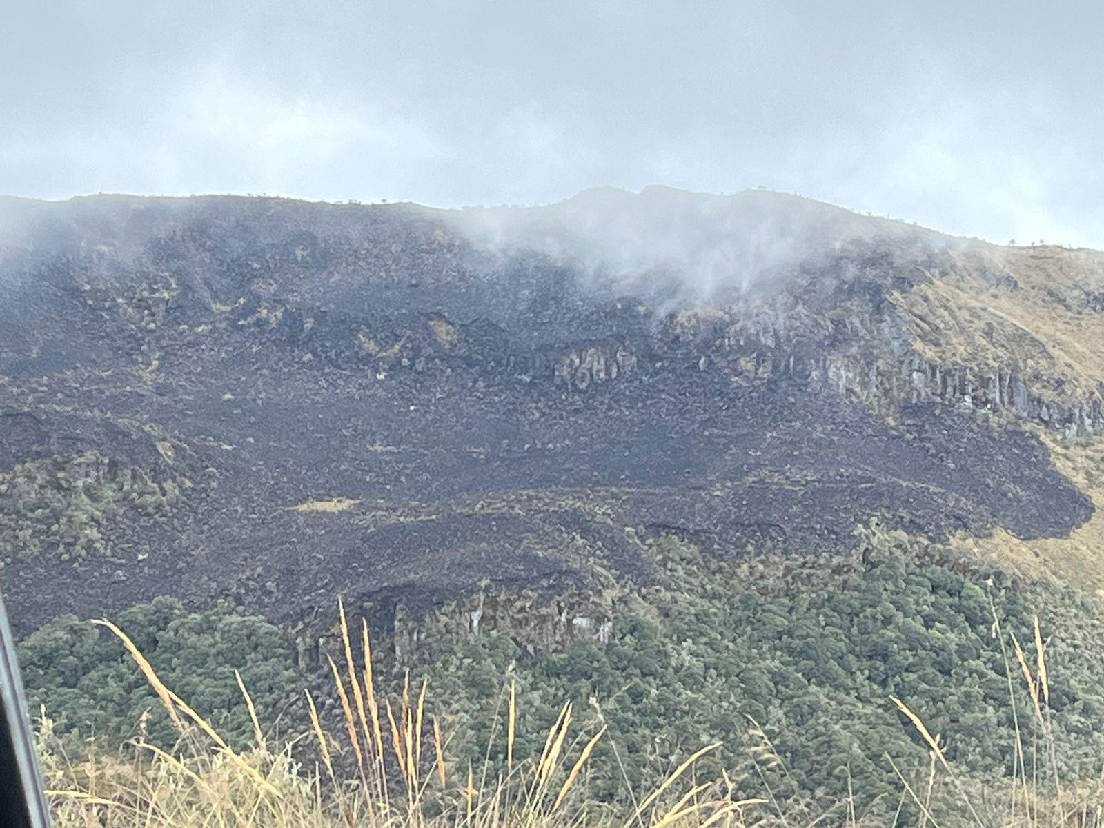 Controlado incendio en Parque de los Nevados por rápida respuesta de bomberos de Tolima y Caldas 1