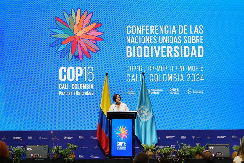 COP16: Con un gran acto inaugural Colombia recibe al mundo 1