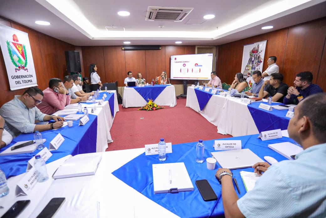 Gobernación del Tolima le sigue apostando al mecanismo de Obras por Impuestos 4