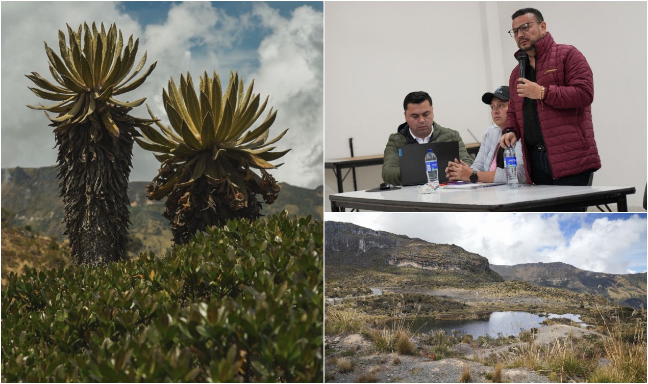 Tribunal ordena pico y placa ambiental desde este fin de semana en carretera Murillo- Manizales 5