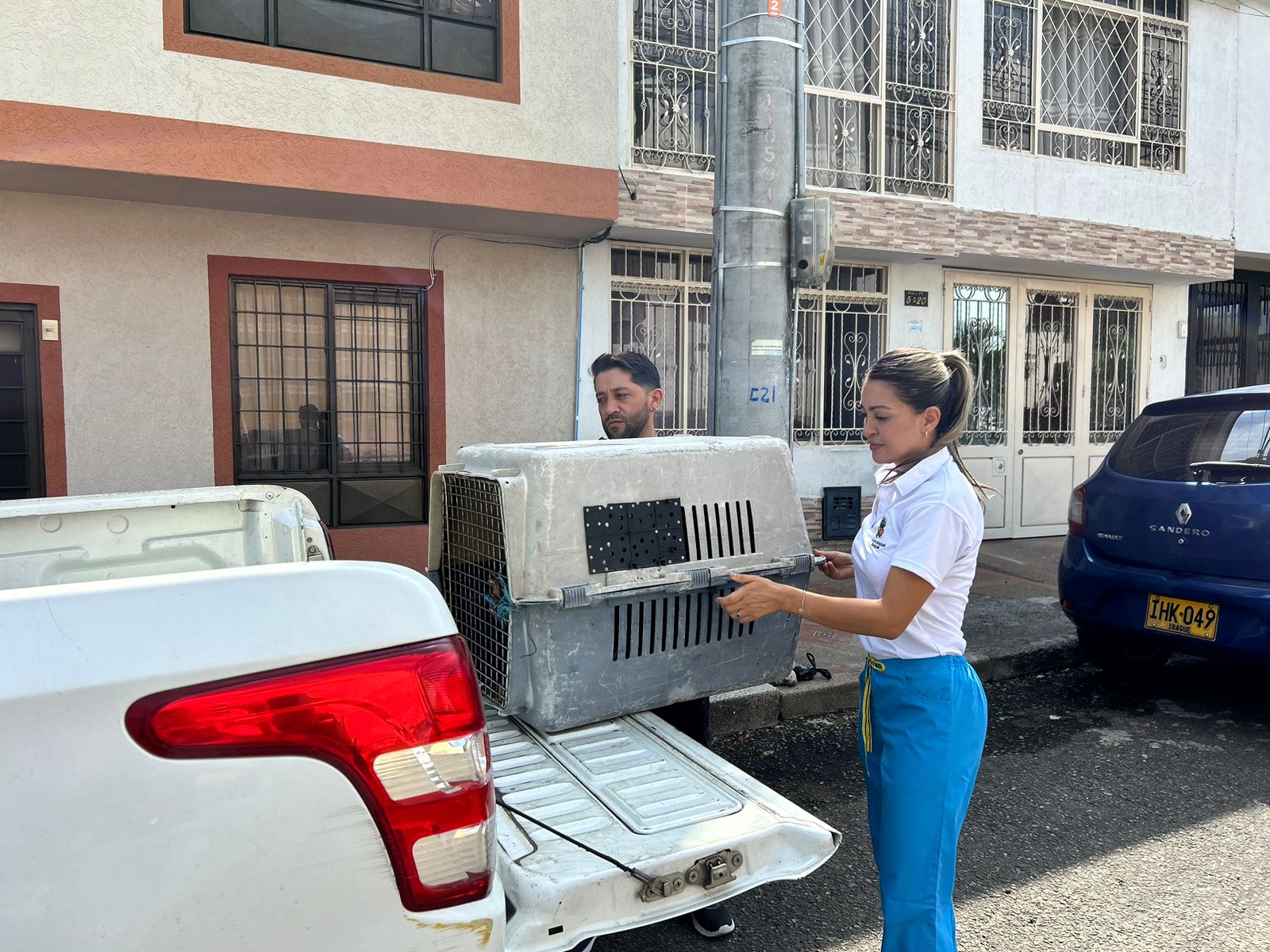Rescatan 19 perros y gatos desnutridos en el barrio Las Margaritas 4