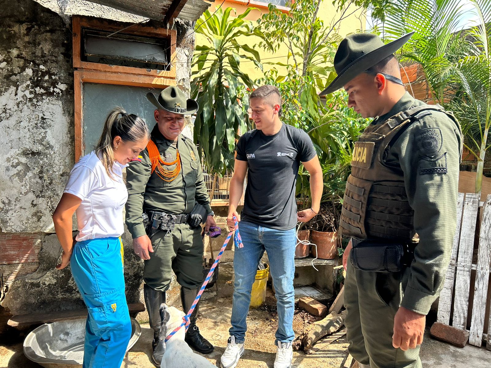 Rescatan 19 perros y gatos desnutridos en el barrio Las Margaritas 3