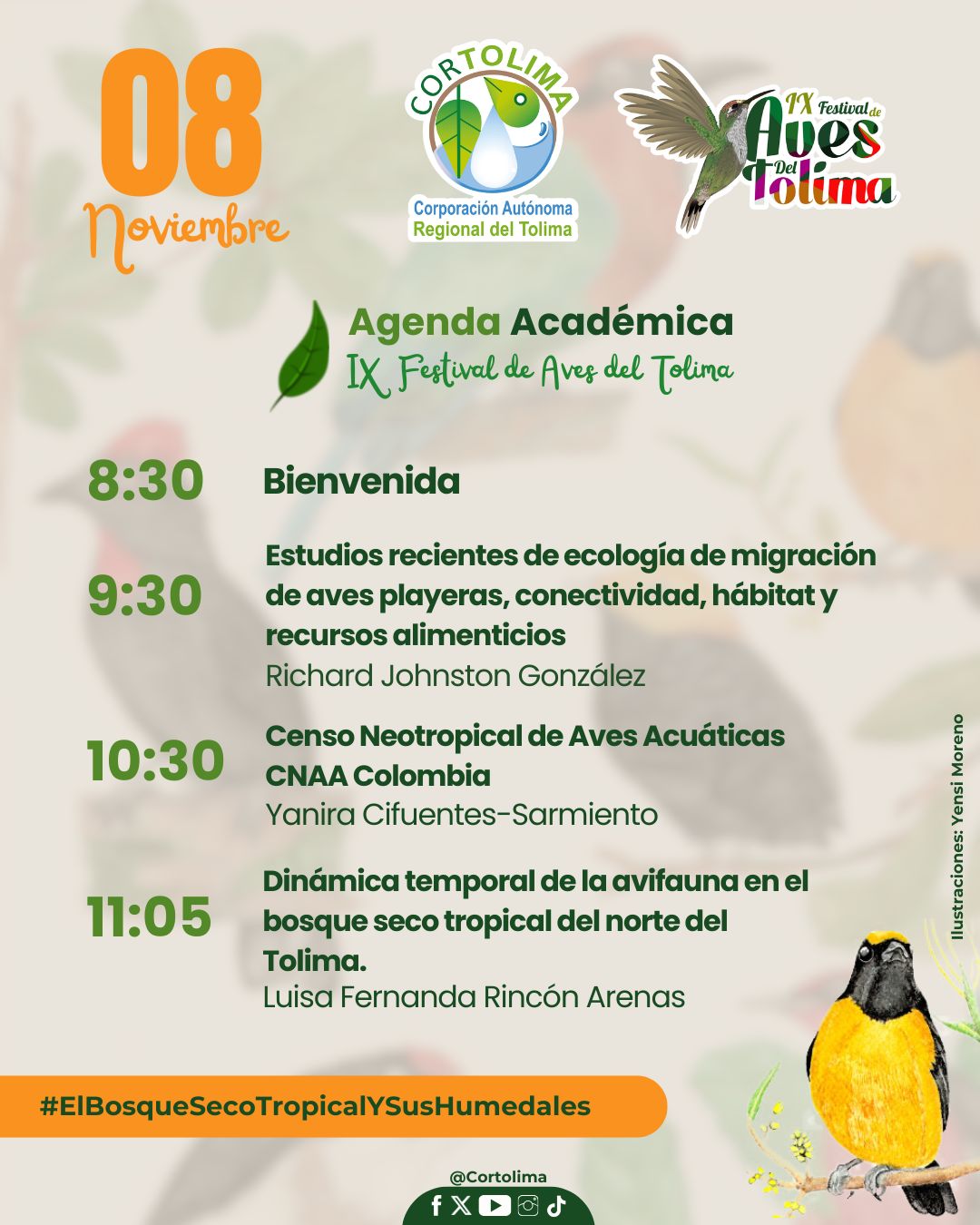 Novena edición del Festival de Aves consolida el aviturismo en el Tolima 2