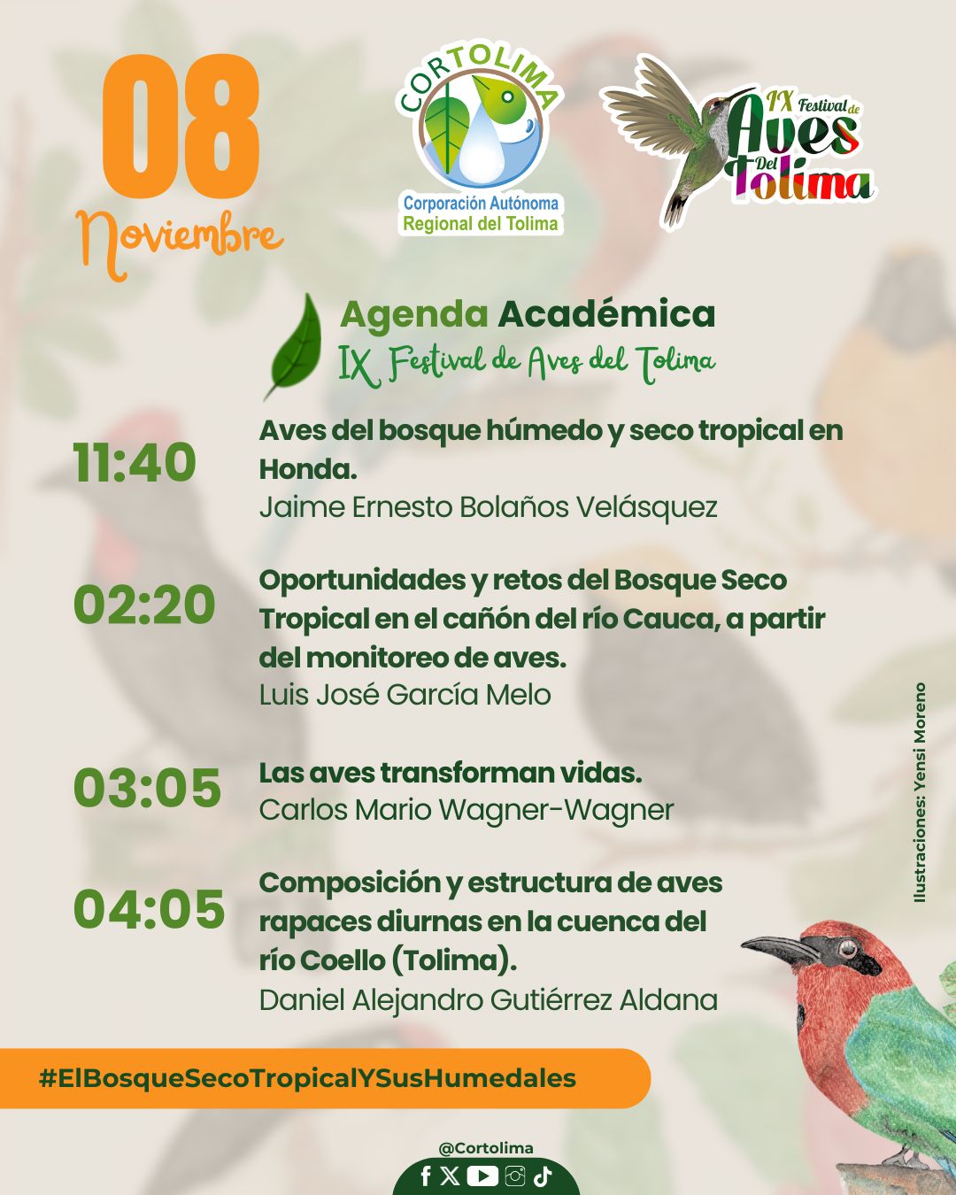 Novena edición del Festival de Aves consolida el aviturismo en el Tolima 3