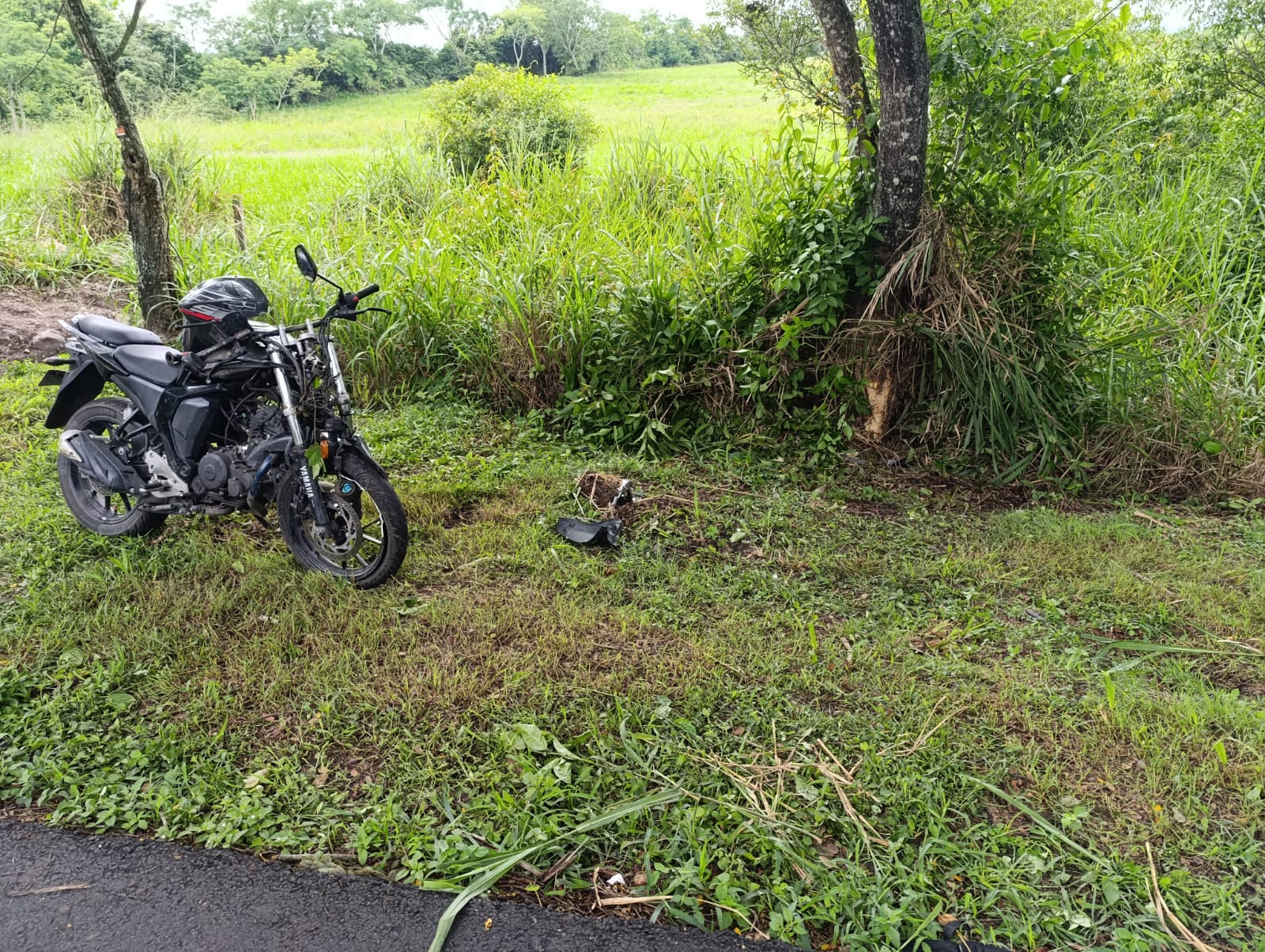 Accidente en la vía Ibagué - Alvarado: motociclista murió al chocar contra un árbol 1