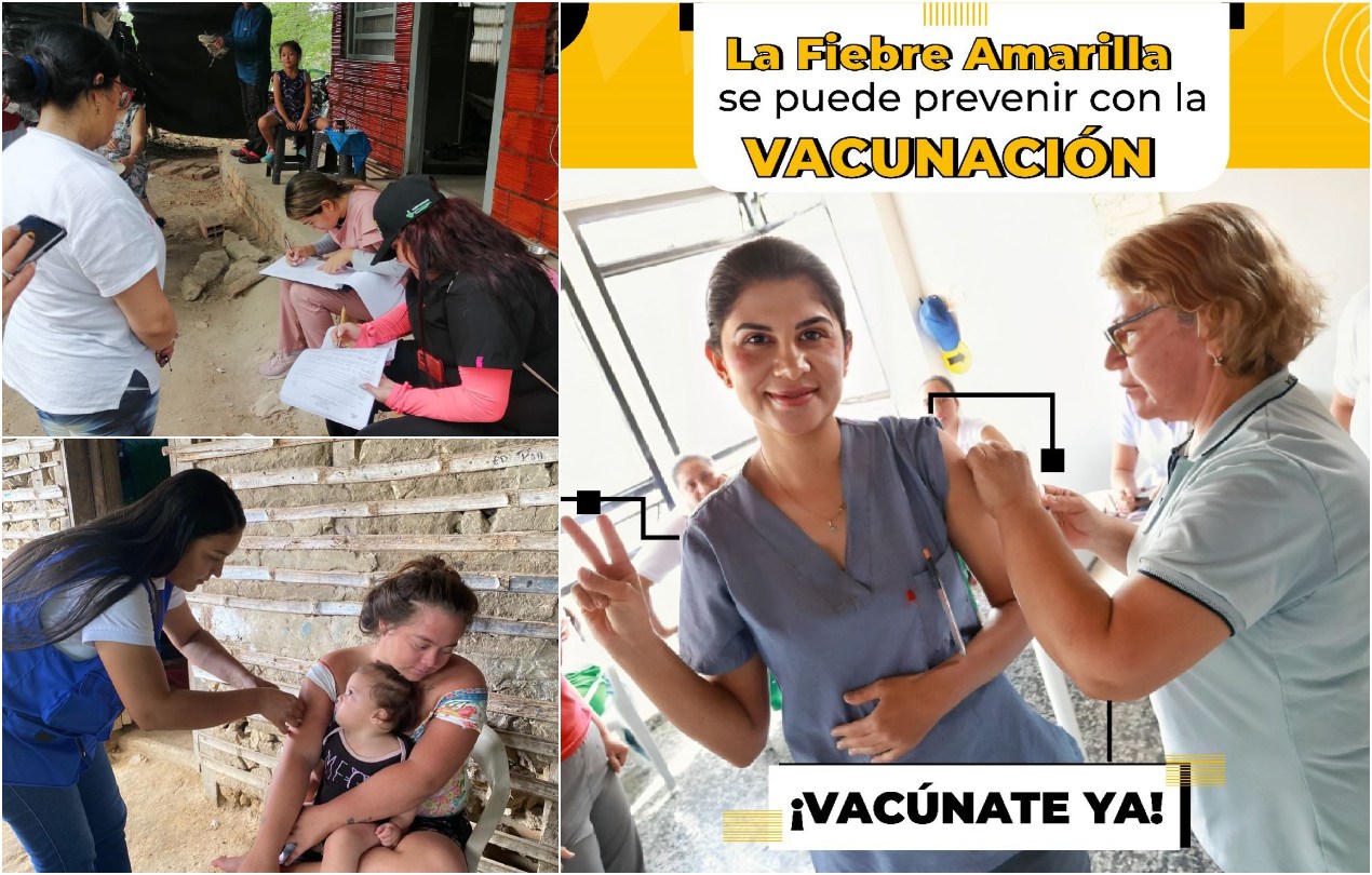 Fiebre amarilla: un peligro latente en zonas tropicales. 1