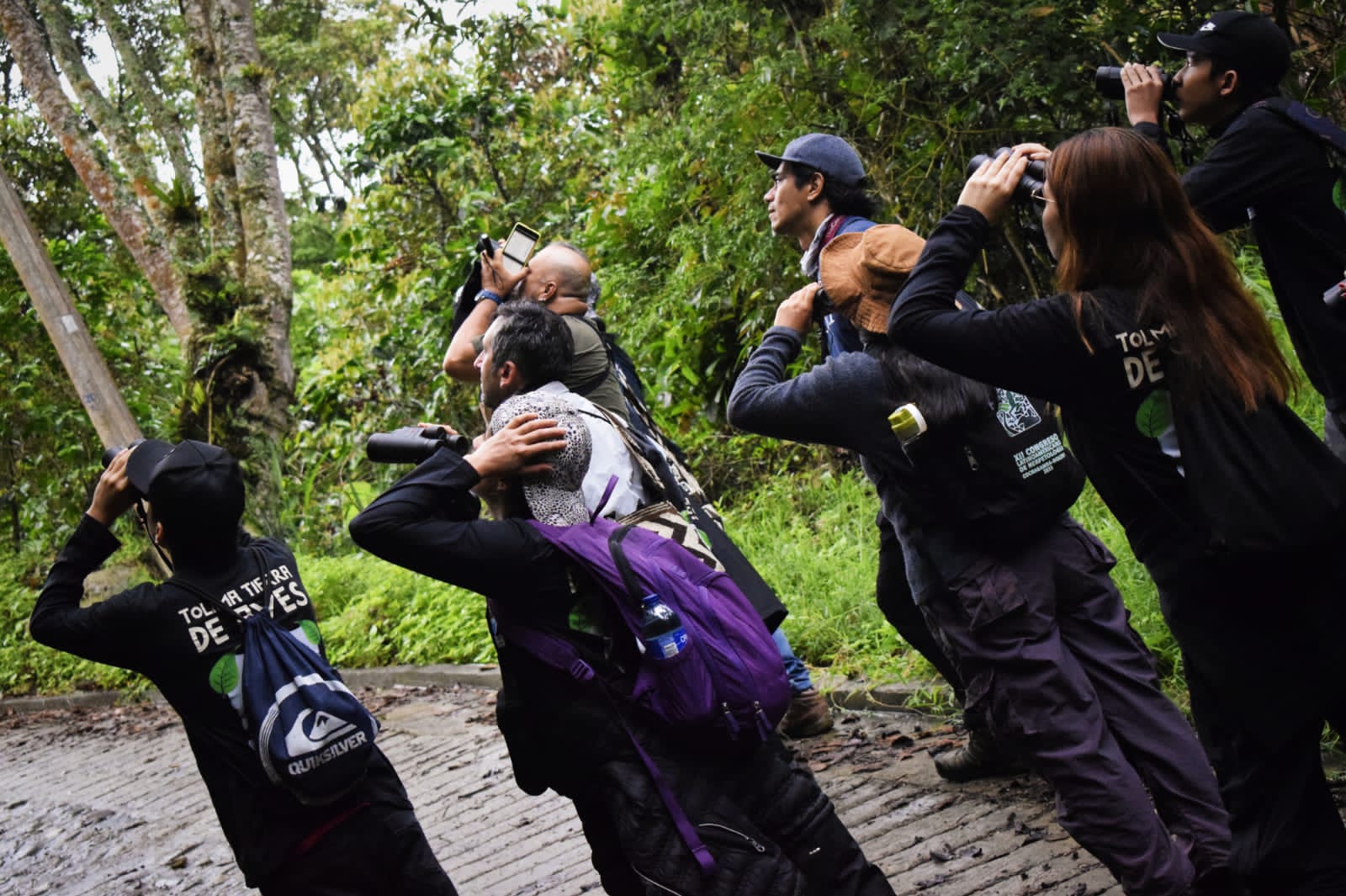 Se cumplieron primeras jornadas de avistamiento durante Festival de Aves del Tolima 4
