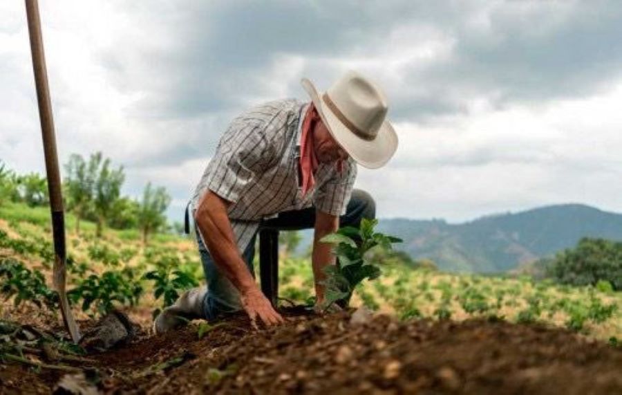 Alias 'Huberlín' estaría engañando a campesinos de Tolima y Huila con falsa entrega de tierras 1