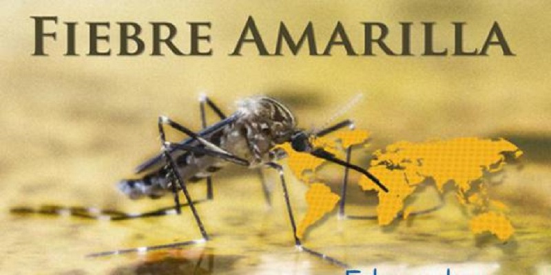 Alerta: Aumentan a 7 los casos de fiebre amarilla en el Tolima 1