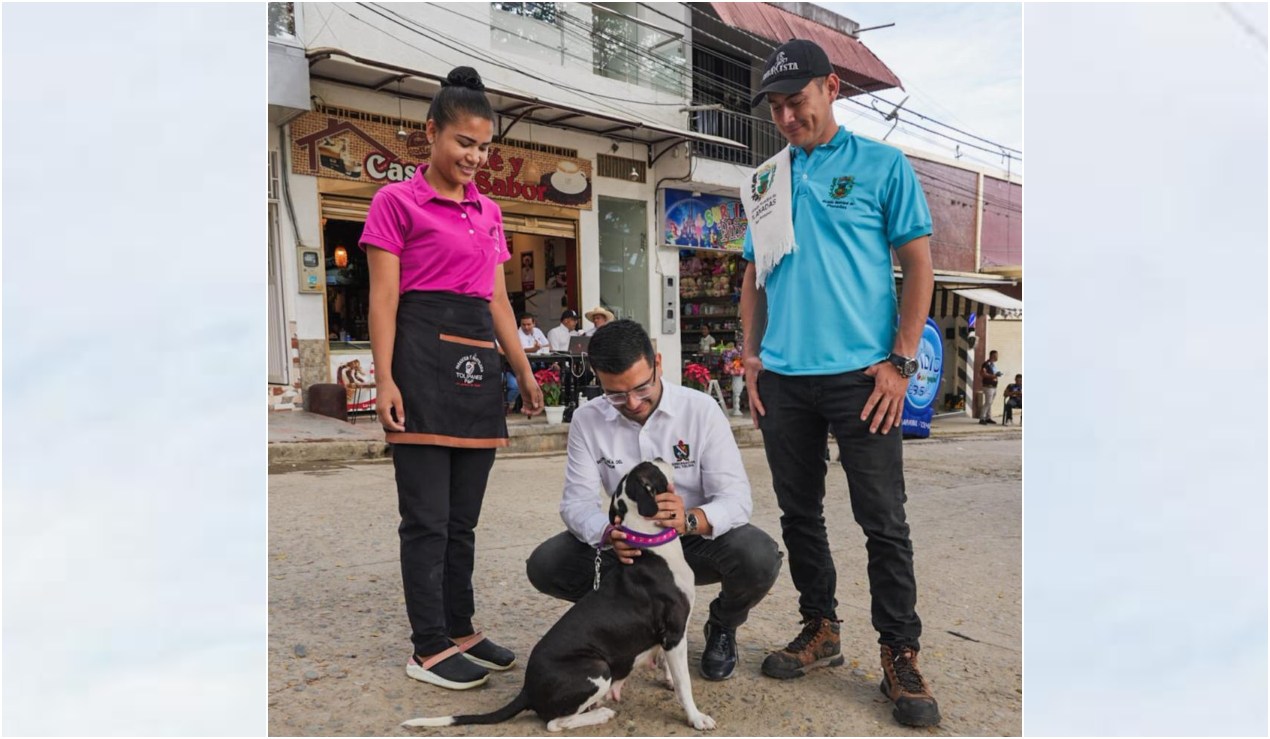 Mascota 'Kira' regresa a su hogar en Planadas 3