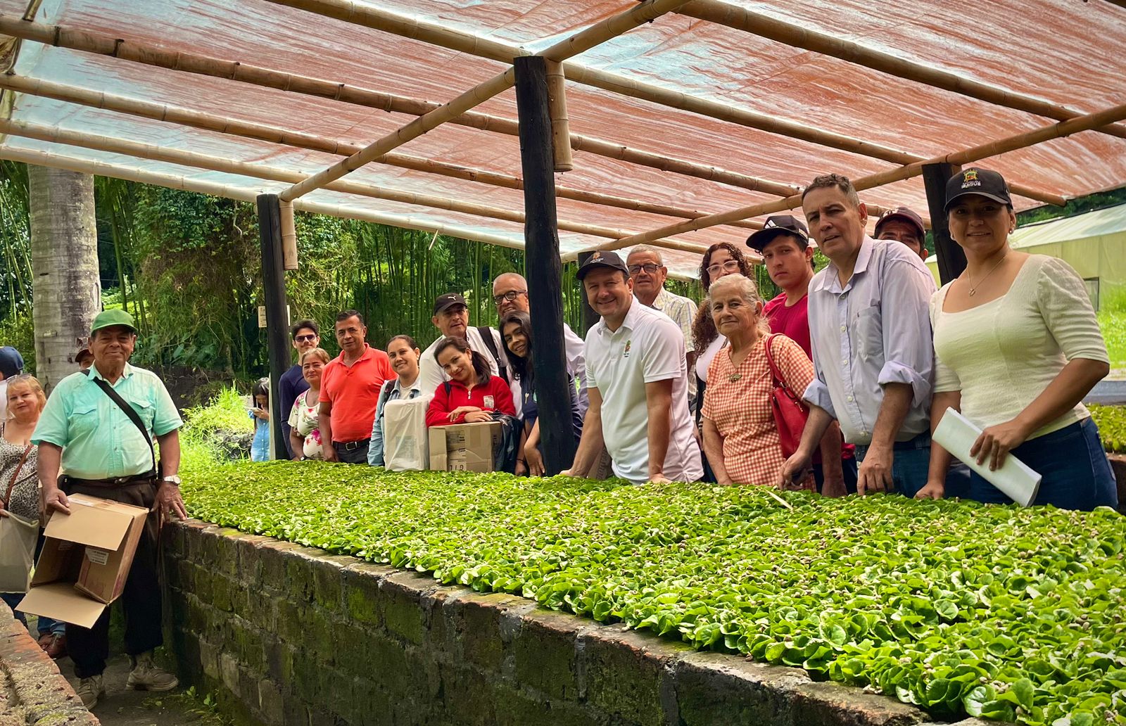 Entregan 30.000 chapolas a 27 pequeños y nuevos productores de café en zona rural de Ibagué 1