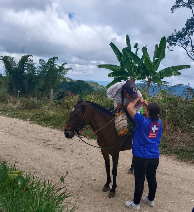 'Cerco epidemiológico' en el Tolima por aumento de casos de fiebre amarilla: van 11 1