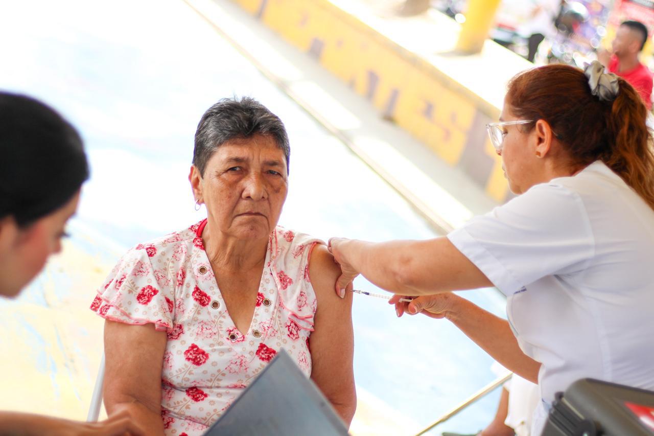 Alcaldía emite alerta para contrarrestar la llegada de la fiebre amarilla en Ibagué 4