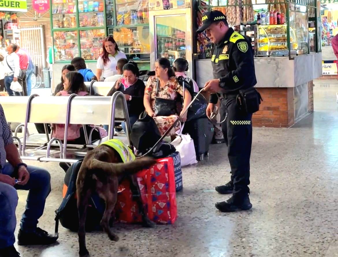 Historias: ”Ángel', un canino ejemplar de la Policía al servicio de la comunidad 1