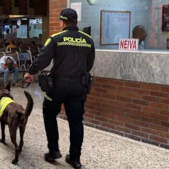 Historias: ”Ángel', un canino ejemplar de la Policía al servicio de la comunidad 4
