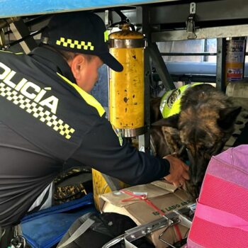 Historias: ”Ángel', un canino ejemplar de la Policía al servicio de la comunidad 2
