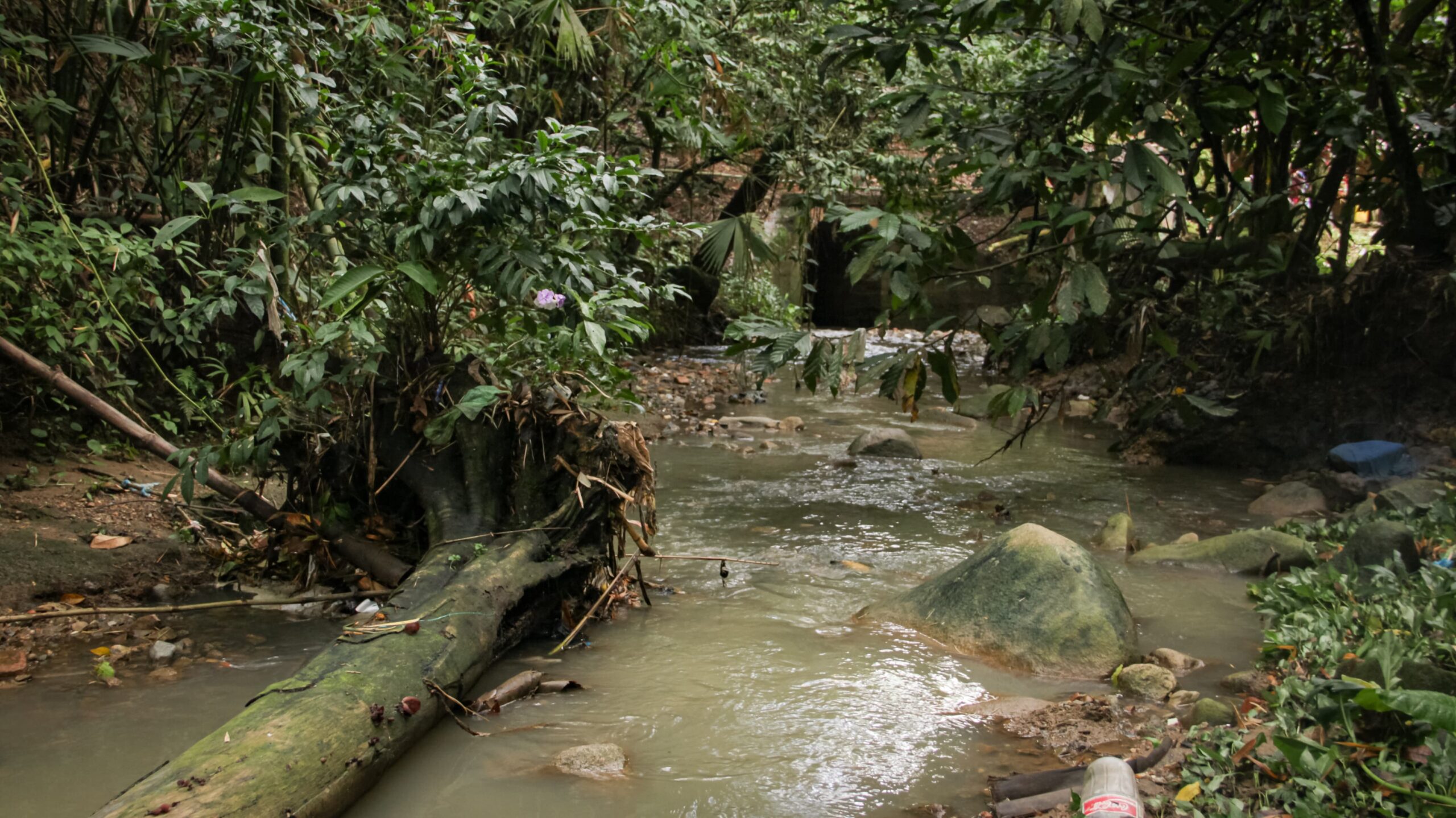 Directora de Cortolima puso la primera piedra de construcción de colector Puente Tierra en Chaparral 5