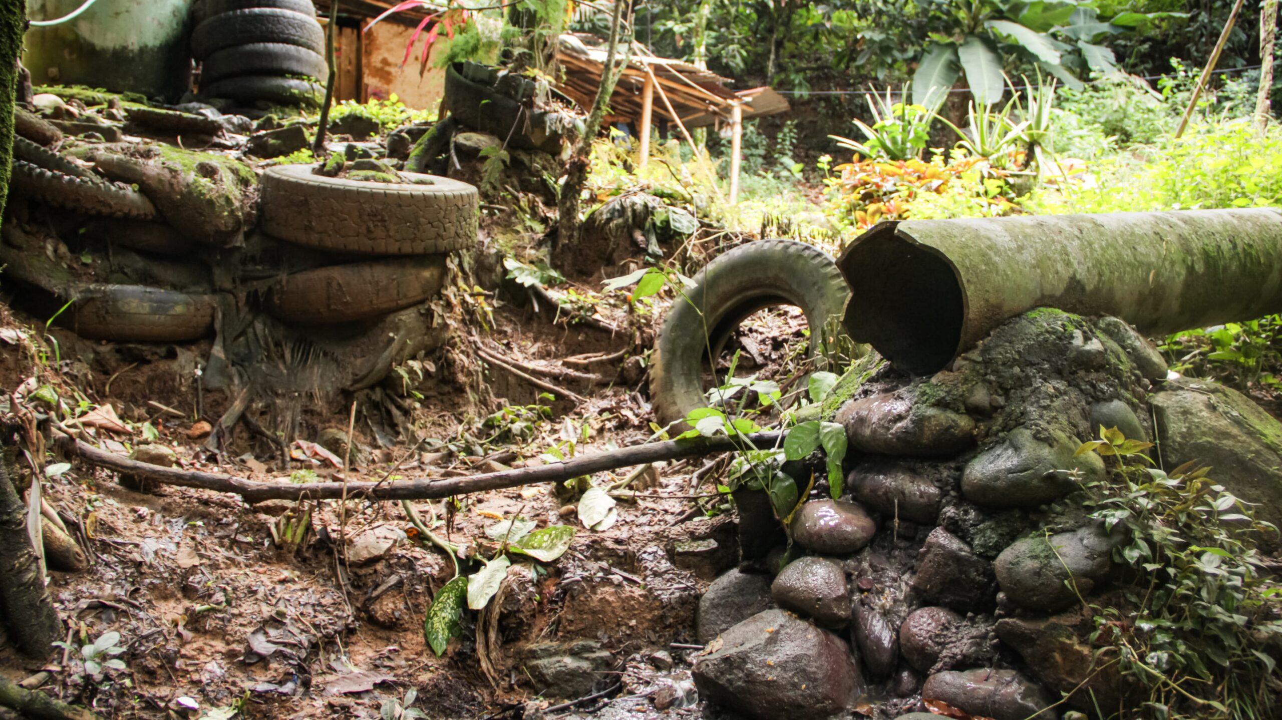 Directora de Cortolima puso la primera piedra de construcción de colector Puente Tierra en Chaparral 4