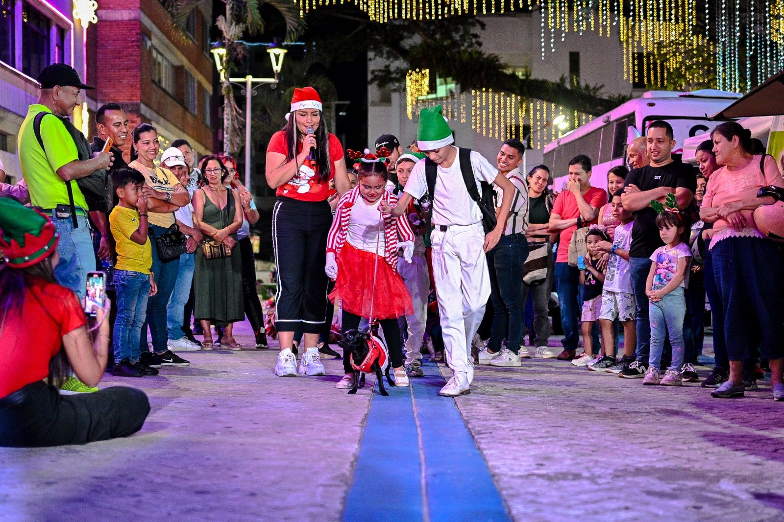 Más de 100 peluditos se robaron las miradas en desfile navideño de mascotas en Ibagué 4