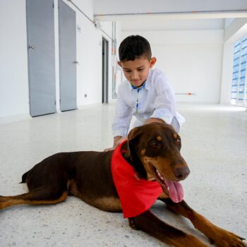 Alcaldesa entregó obra blanca del Mega Capa, una infraestructura de talla nacional al servicio de los animalitos 4