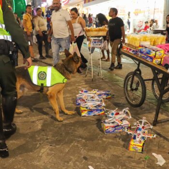 Alcaldía y Policía se incautaron de más de 10 kilos de pólvora en el Centro de Ibagué 4