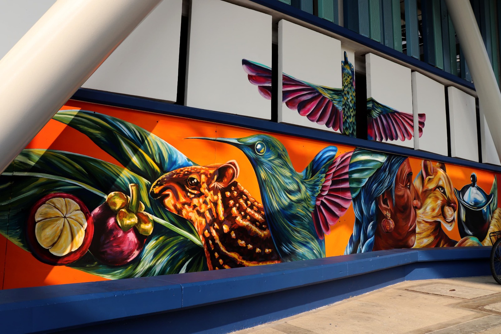 Alcaldía transforma ocho espacios públicos en Ibagué con coloridos murales 3