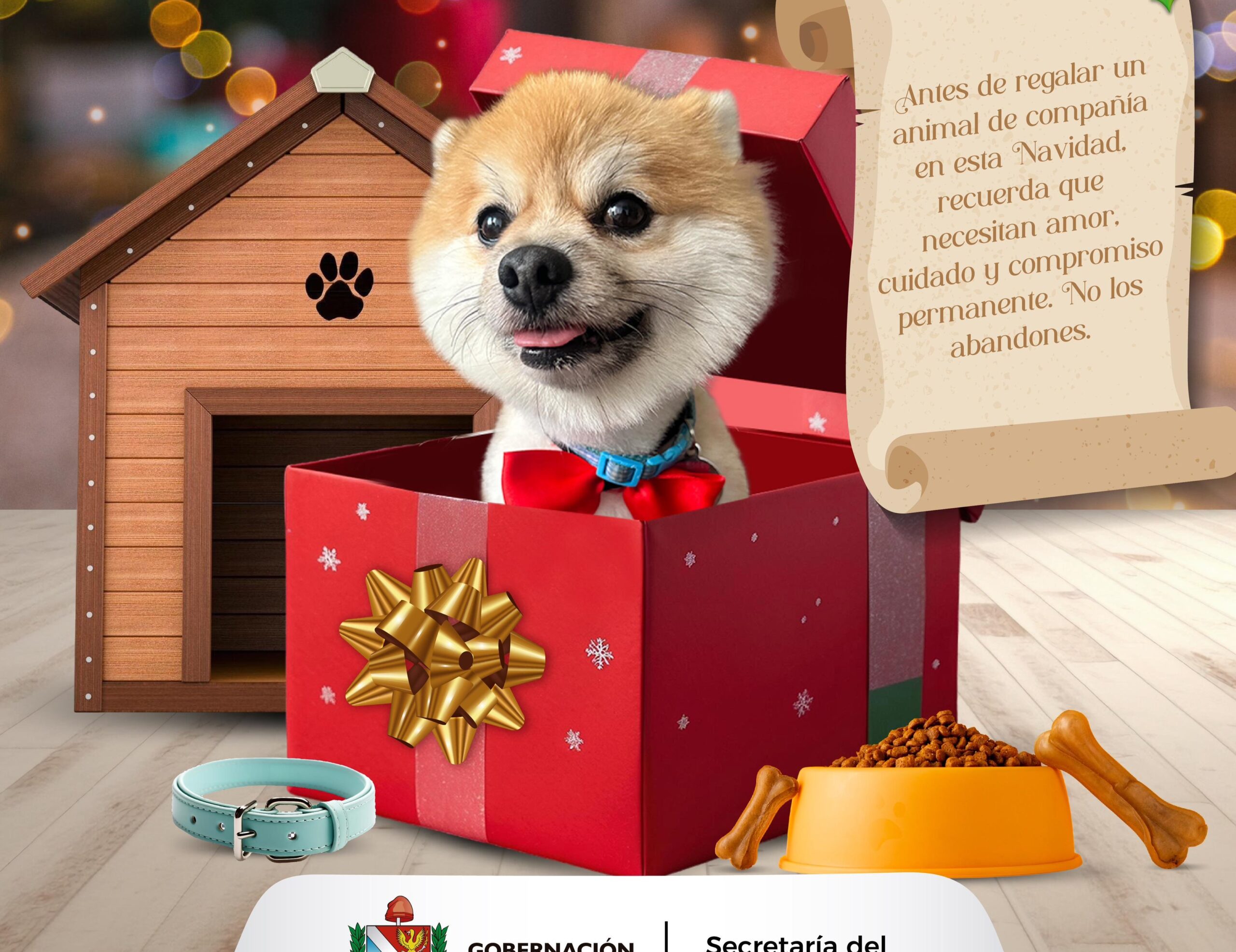 Los animales no son juguetes: un llamado a la tenencia responsable 1